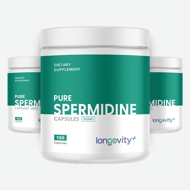 Spermidine