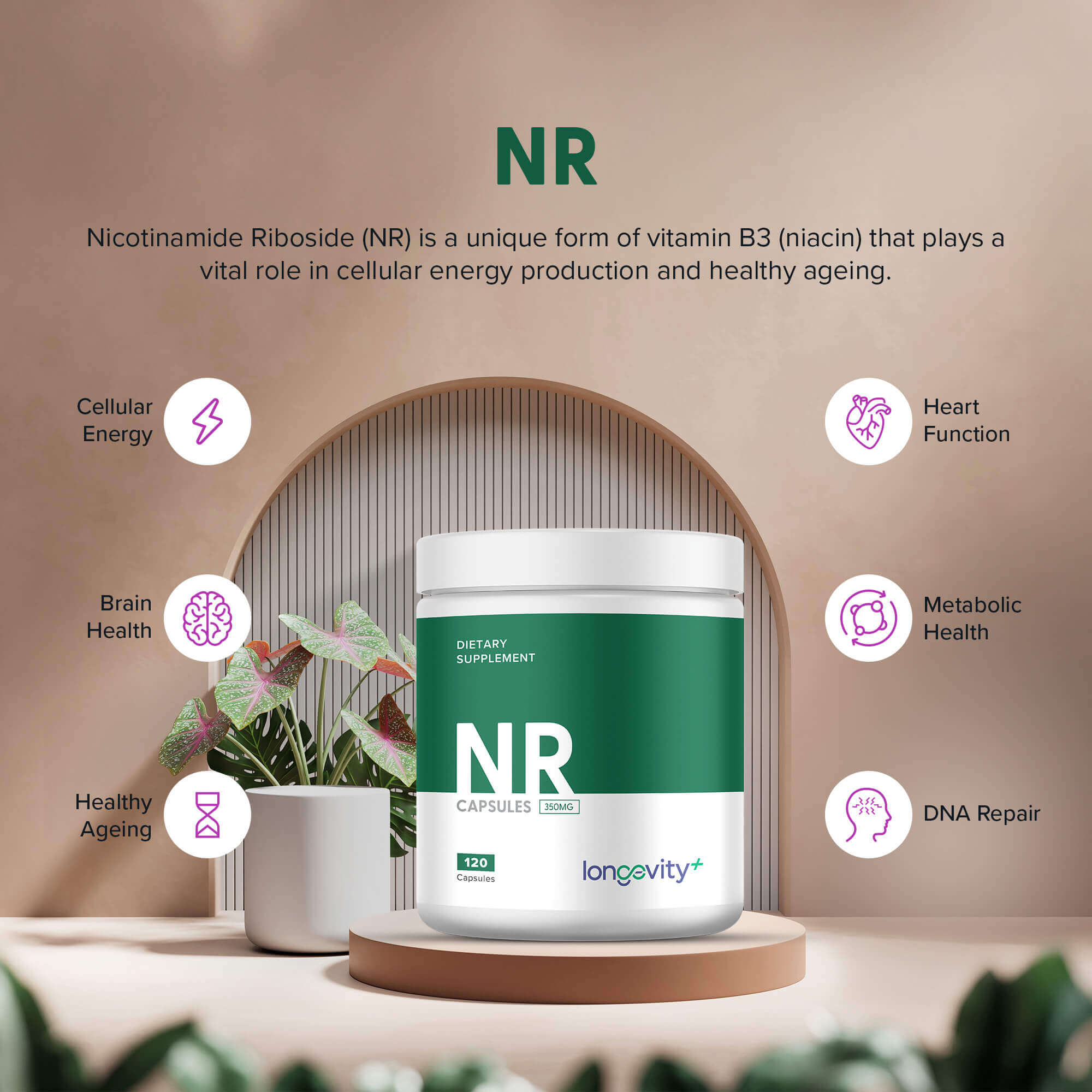 NR