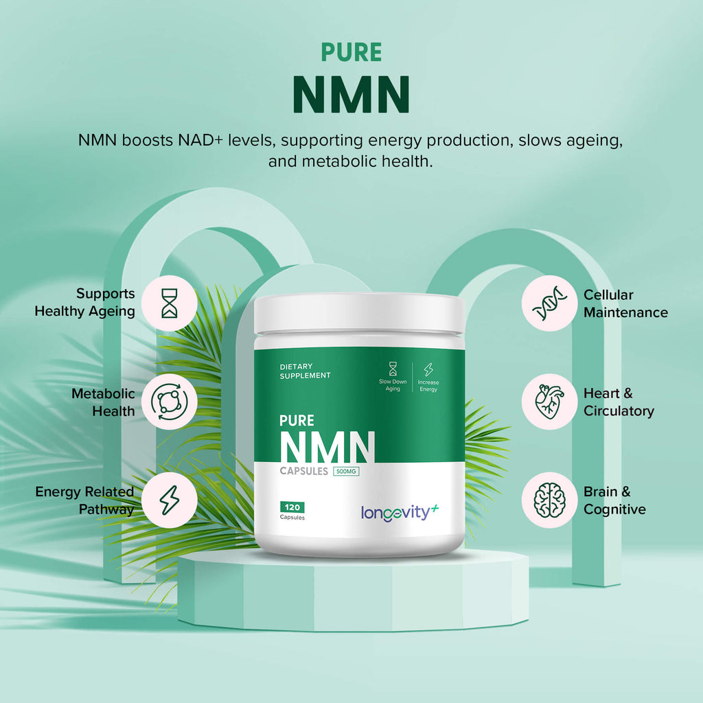 Nmn Raja NMN Powder for Energy, Anti-Aging & Metabolic Health – Longevity Plus USA