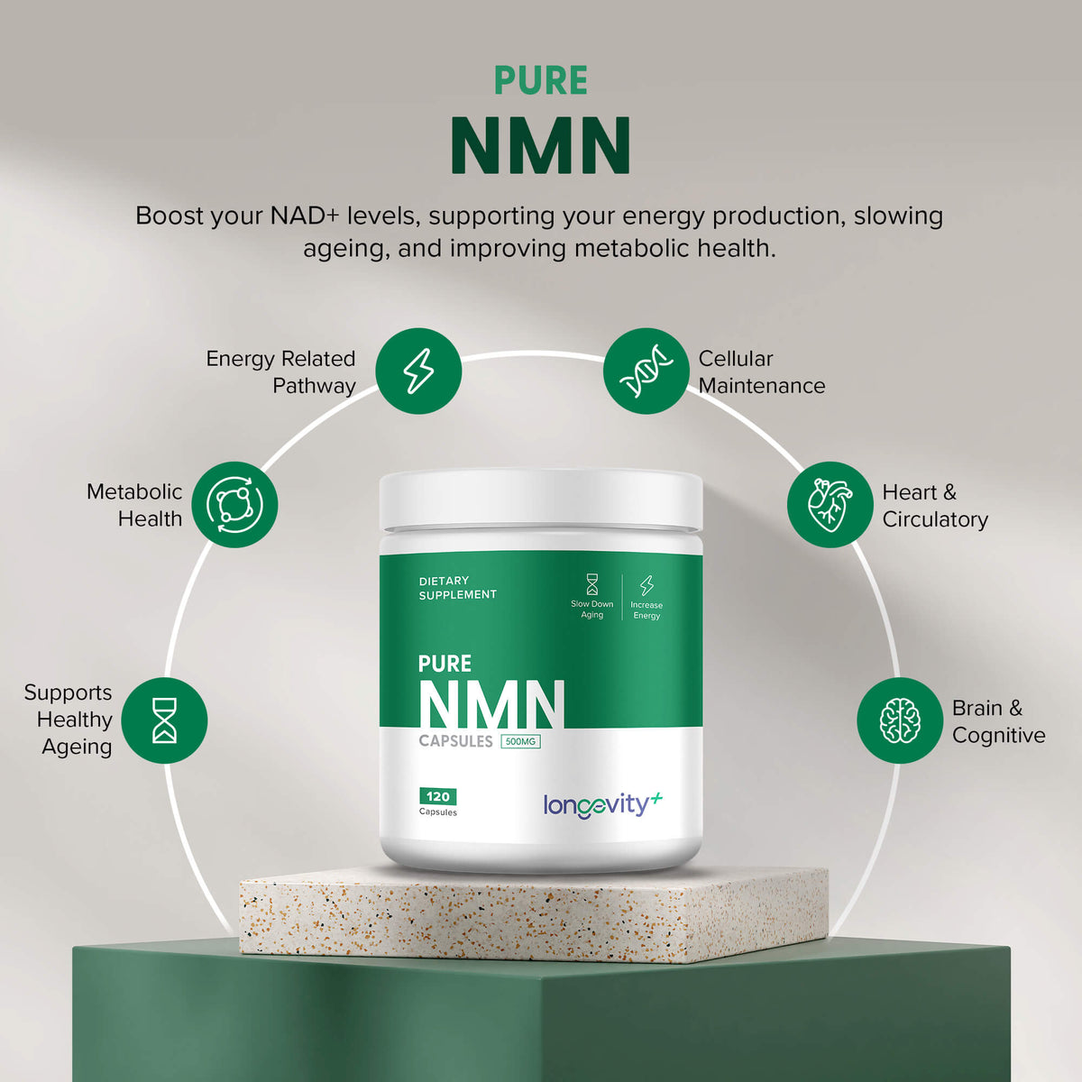 Nmn Raja NMN Capsules for Energy, Anti-Aging & Metabolism Boost – Longevity Plus USA